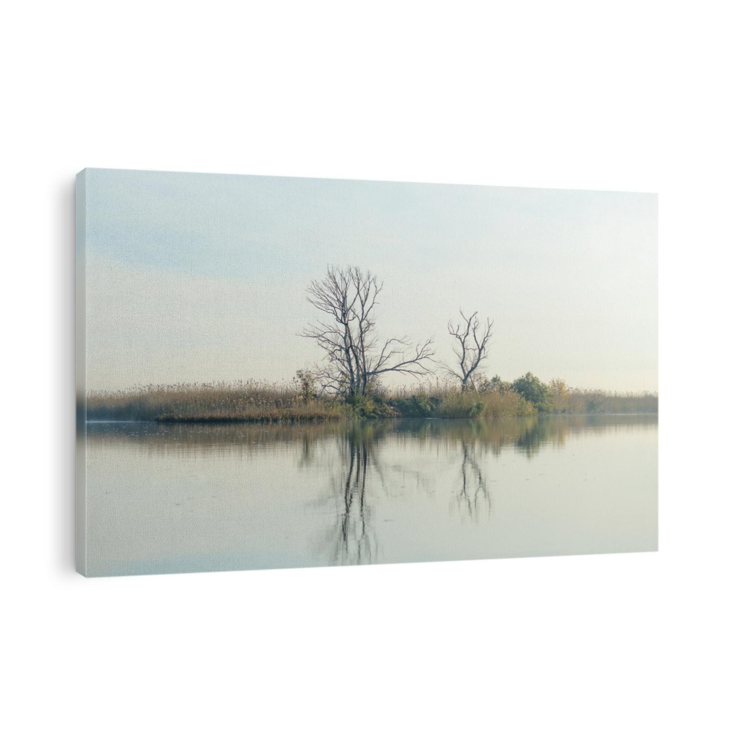 River with tree reflected in the Delta of the Volga River, Russia