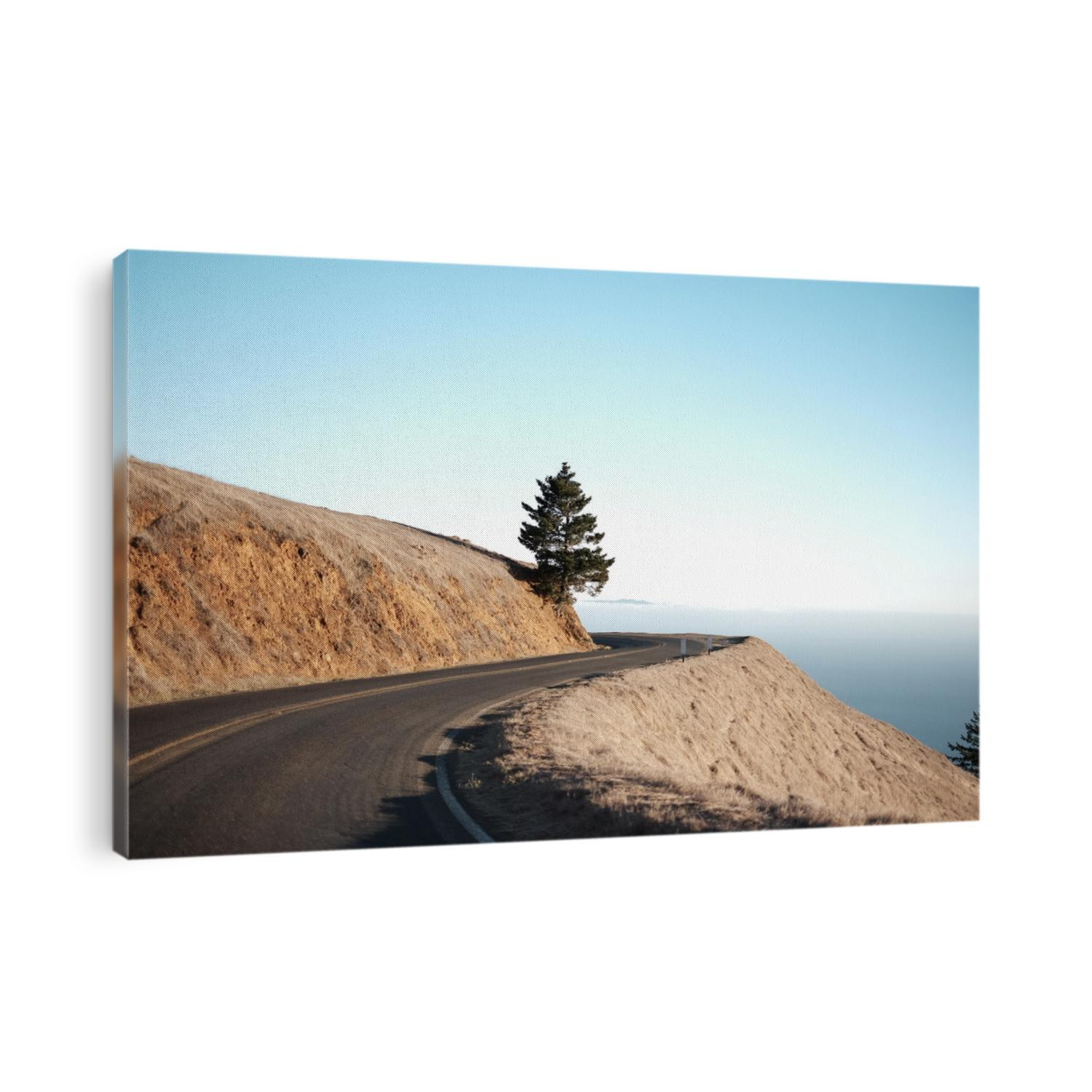 On the way to Mount Tamalpais