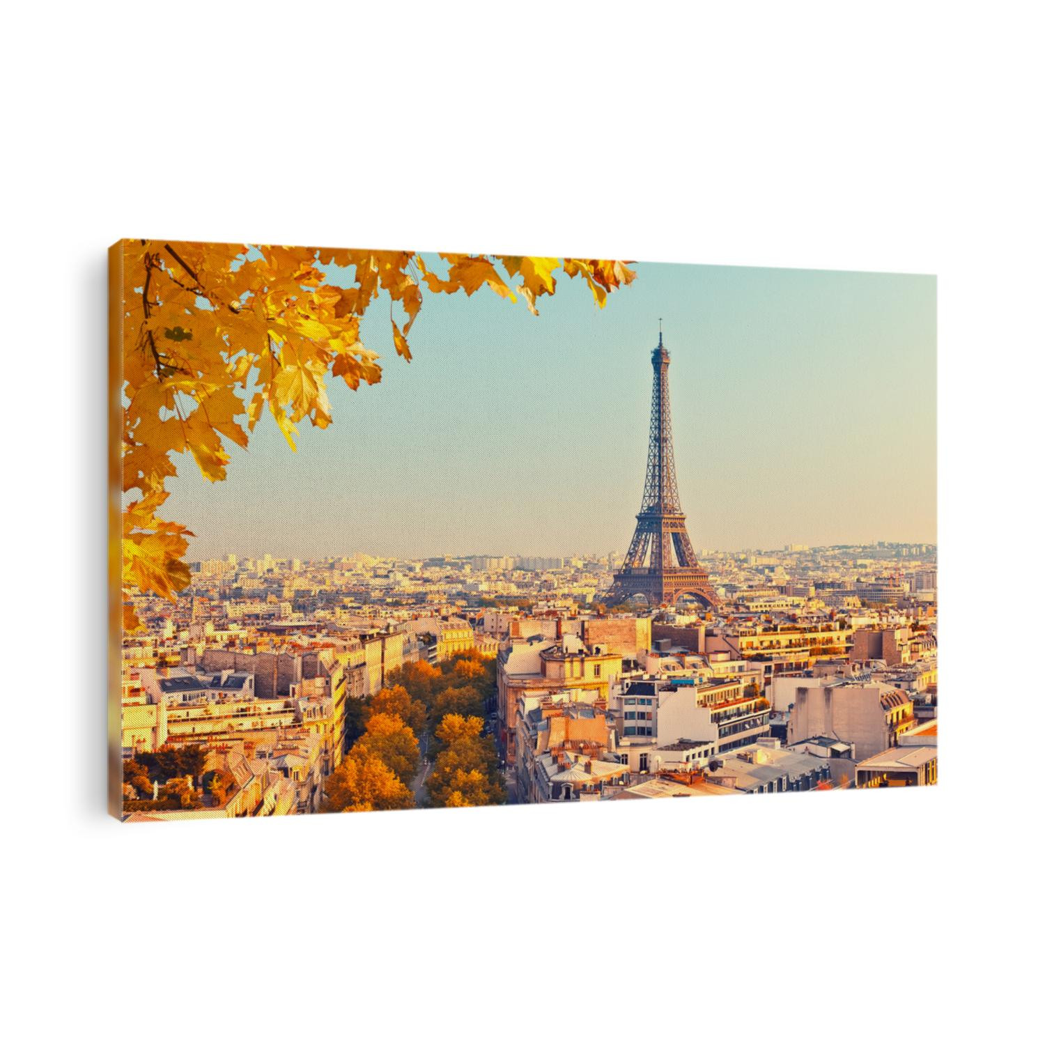 View on Eiffel tower at sunset, Paris, France