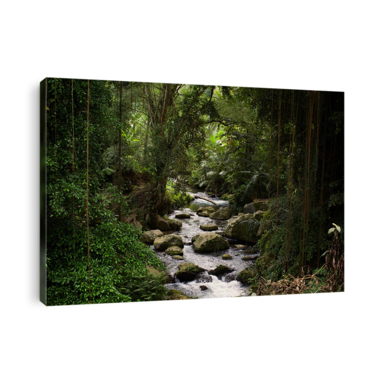 River at Gunung Kawi temple in Bali