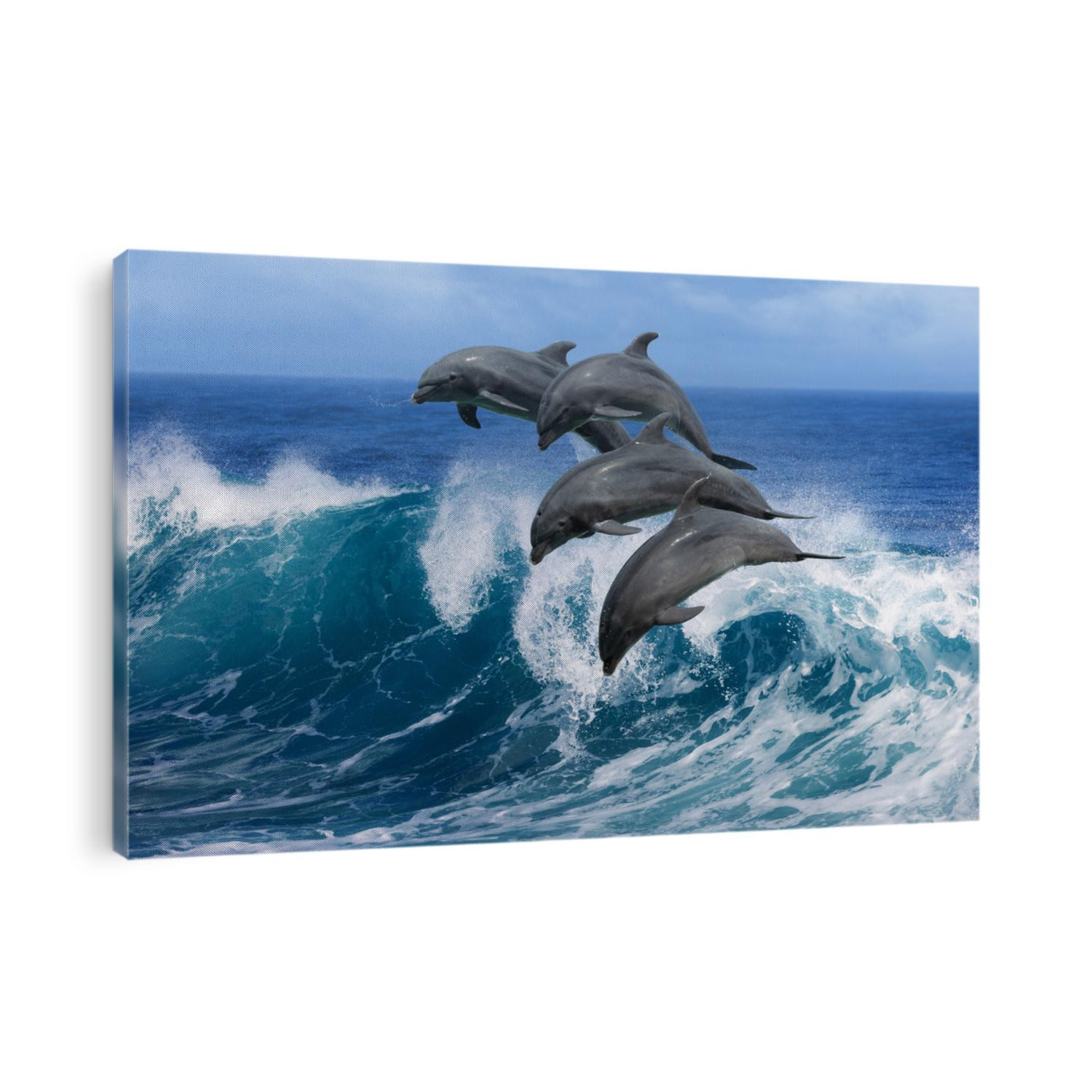 Four beautiful dolphins jumping over breaking waves. Hawaii Pacific Ocean wildlife scenery. Marine animals in natural habitat.