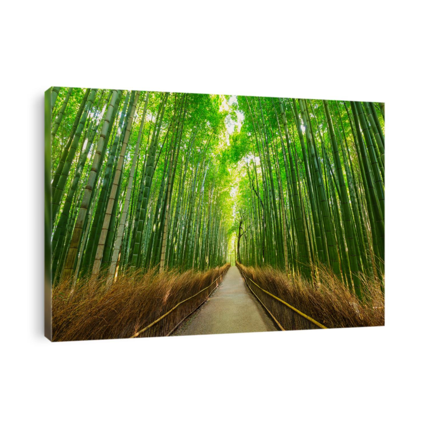 Arashiyama bamboo forest in Kyoto Japan