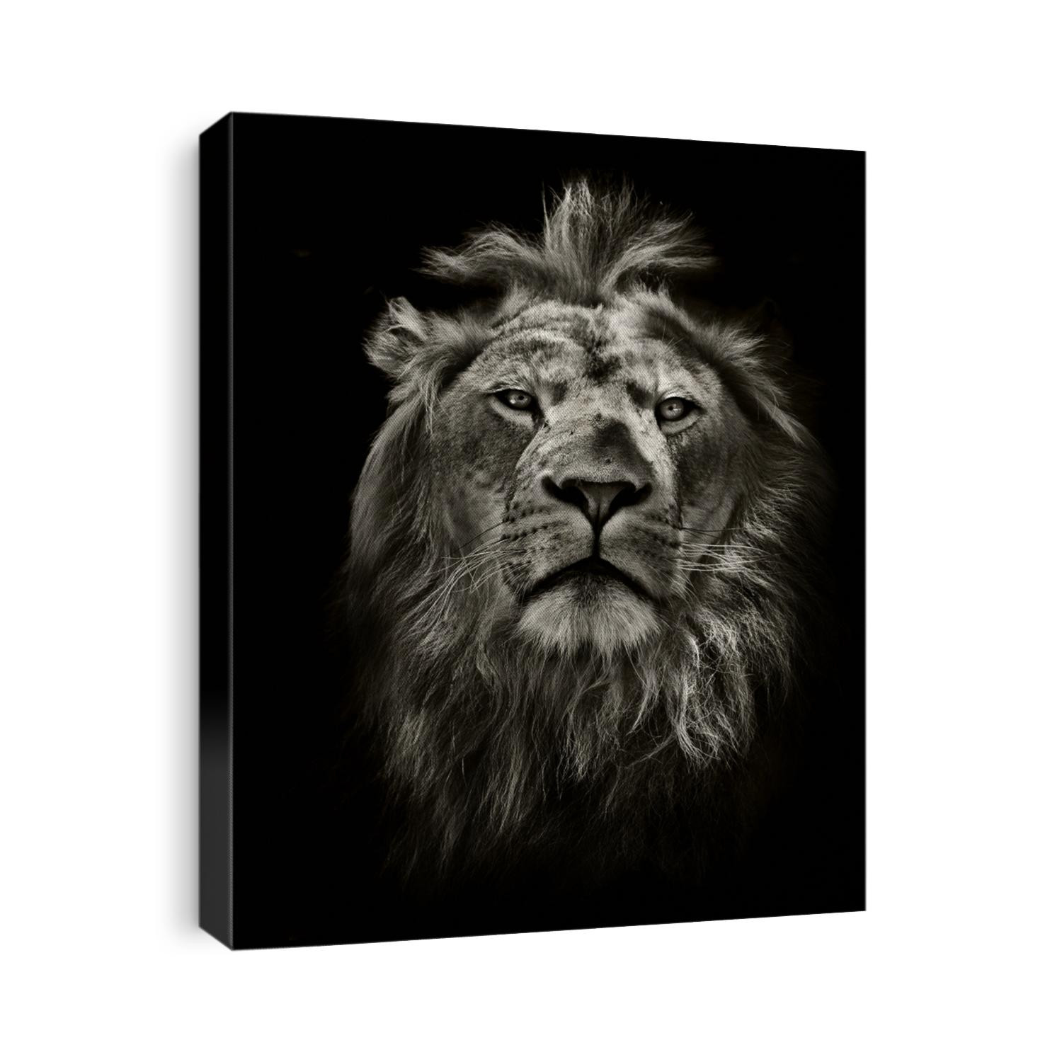 graphic black and white lion portrait on black