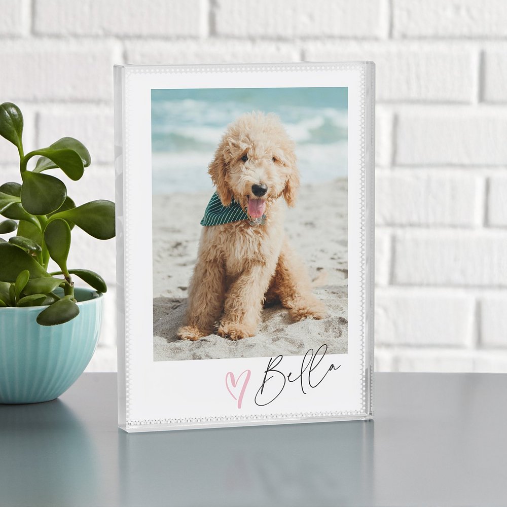 Loving Pet Photo Tribute Glass Block