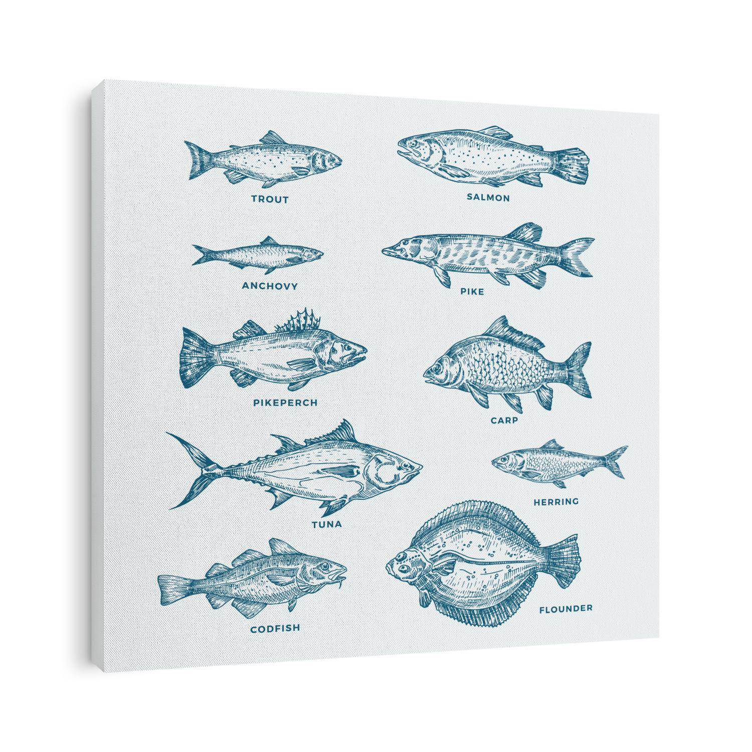Hand Drawn Ocean or Sea and River Ten Fishes Set. A Collection of Salmon and Tuna or Pike and Anchovy, Herring, Trout, Carp Sketches Silhouettes. Isolated.