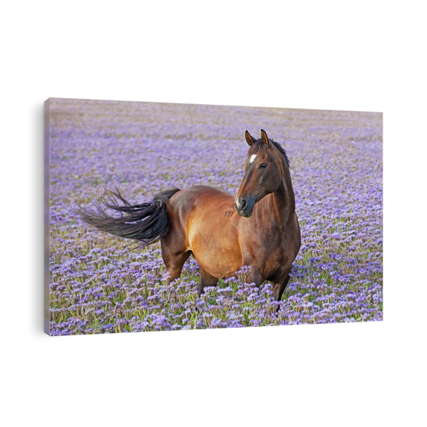 Portrait of nice brown horse posing on blue flowers