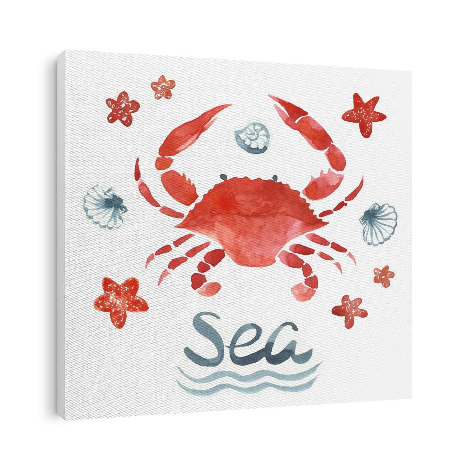 watercolor crab, crab isoleated, seafood, watercolor seafood on white background
