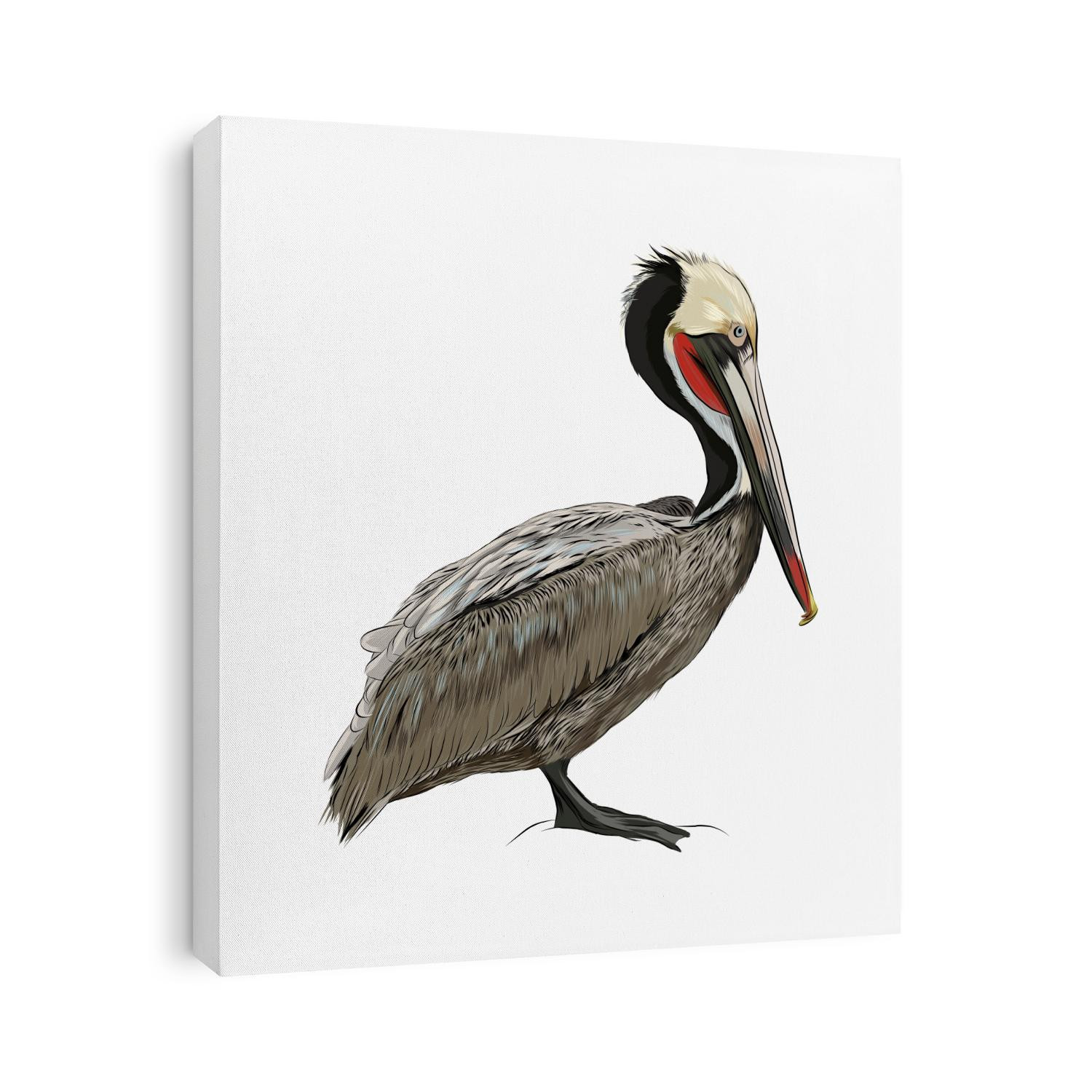 Pelican from a splash of watercolor, colored drawing, realistic. Vector illustration of paints