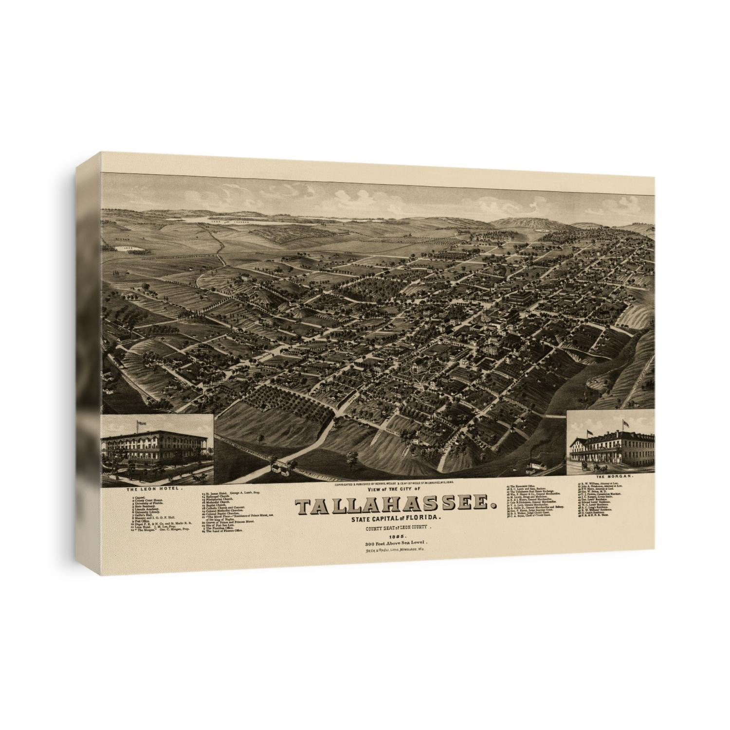 Old bird's eye view map of Tallahassee, Florida from 1885 by H. Wellge.