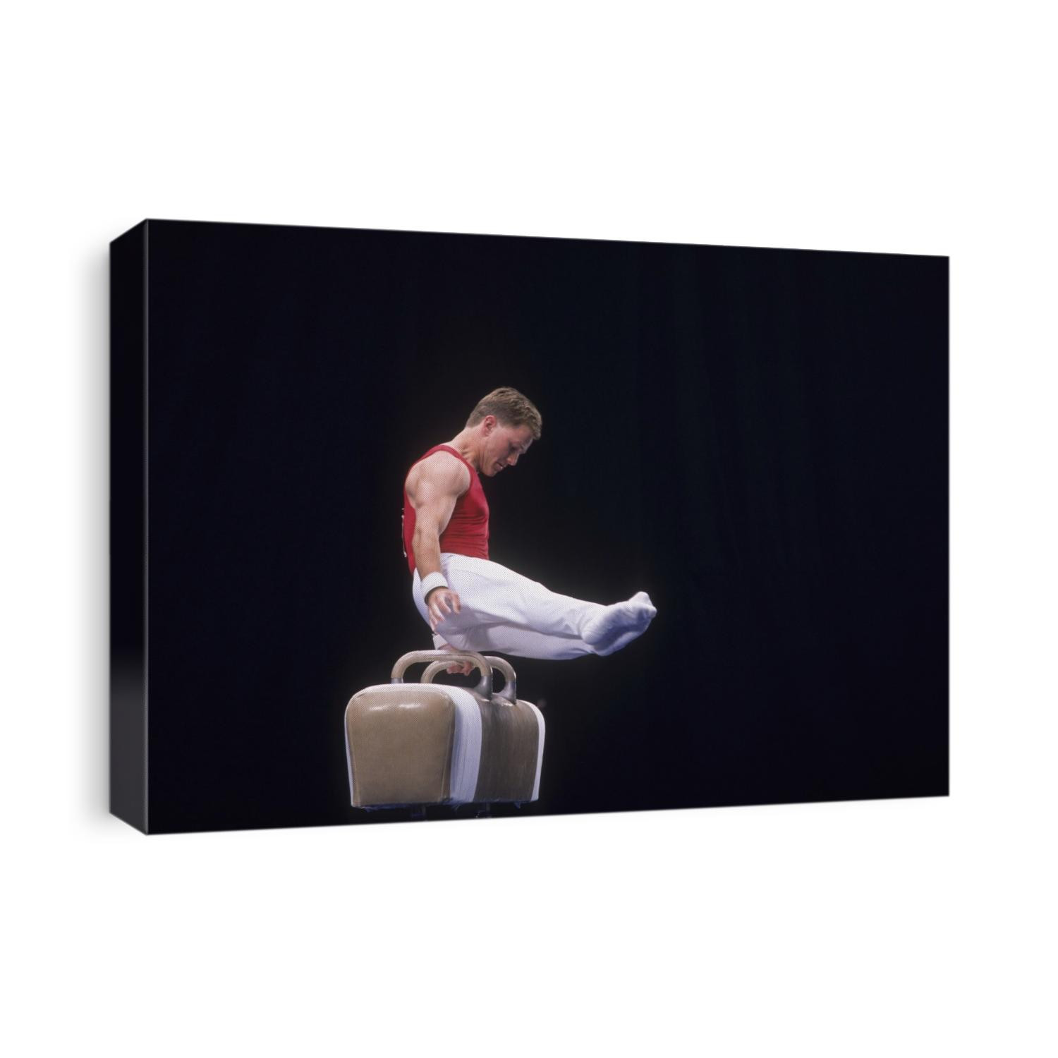 Male gymnast on the pommel horse