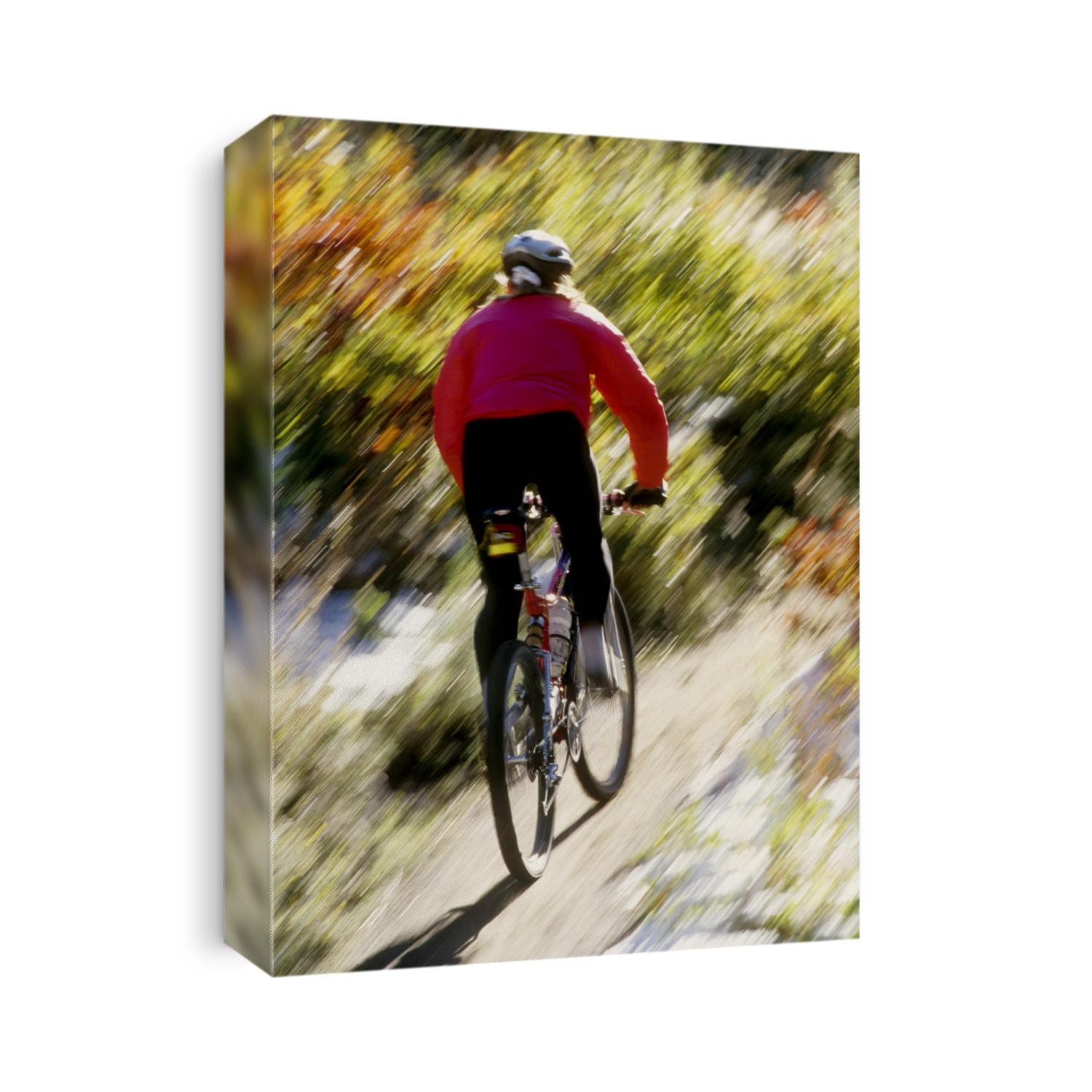 Recreational mountain biker riding on the trails.