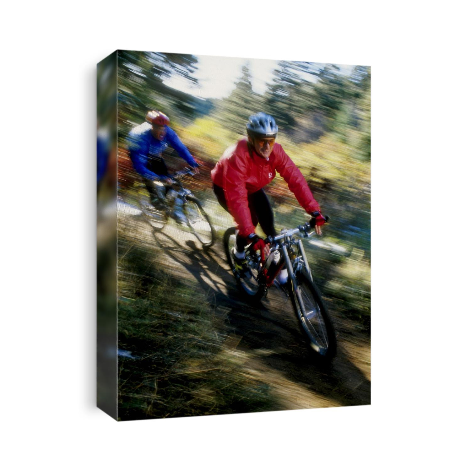 Recreational mountain biker riding on the trails.
