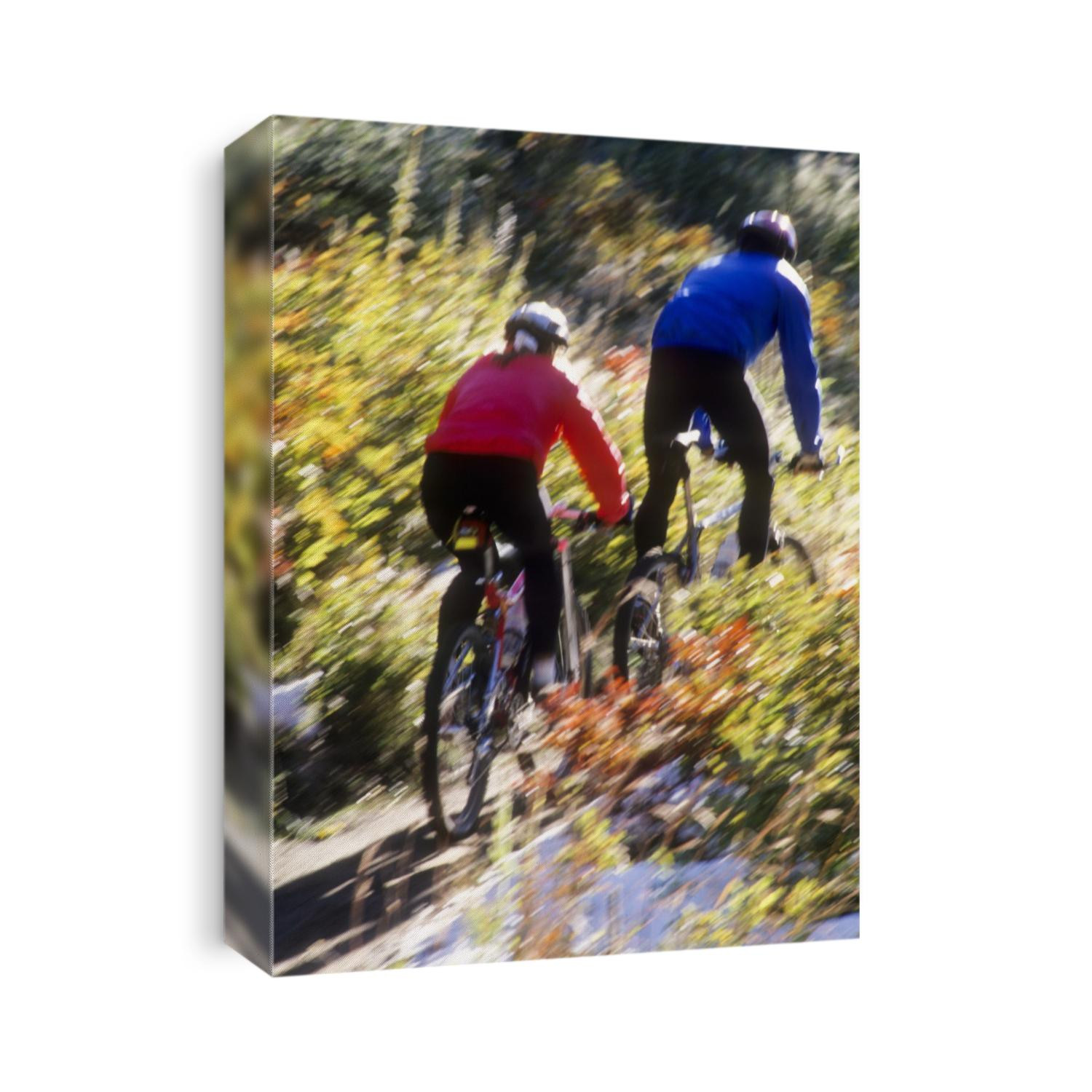 Blurred action of recreational mountain biker riding on the trails.