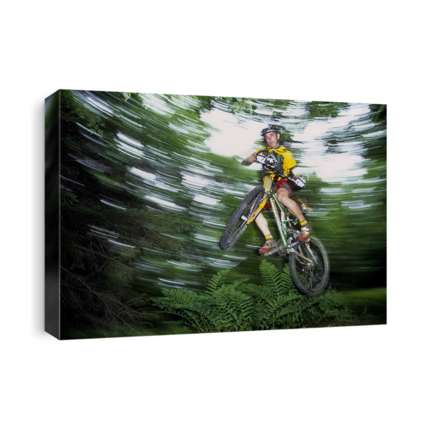 Recreational mountain biker riding on the trails.