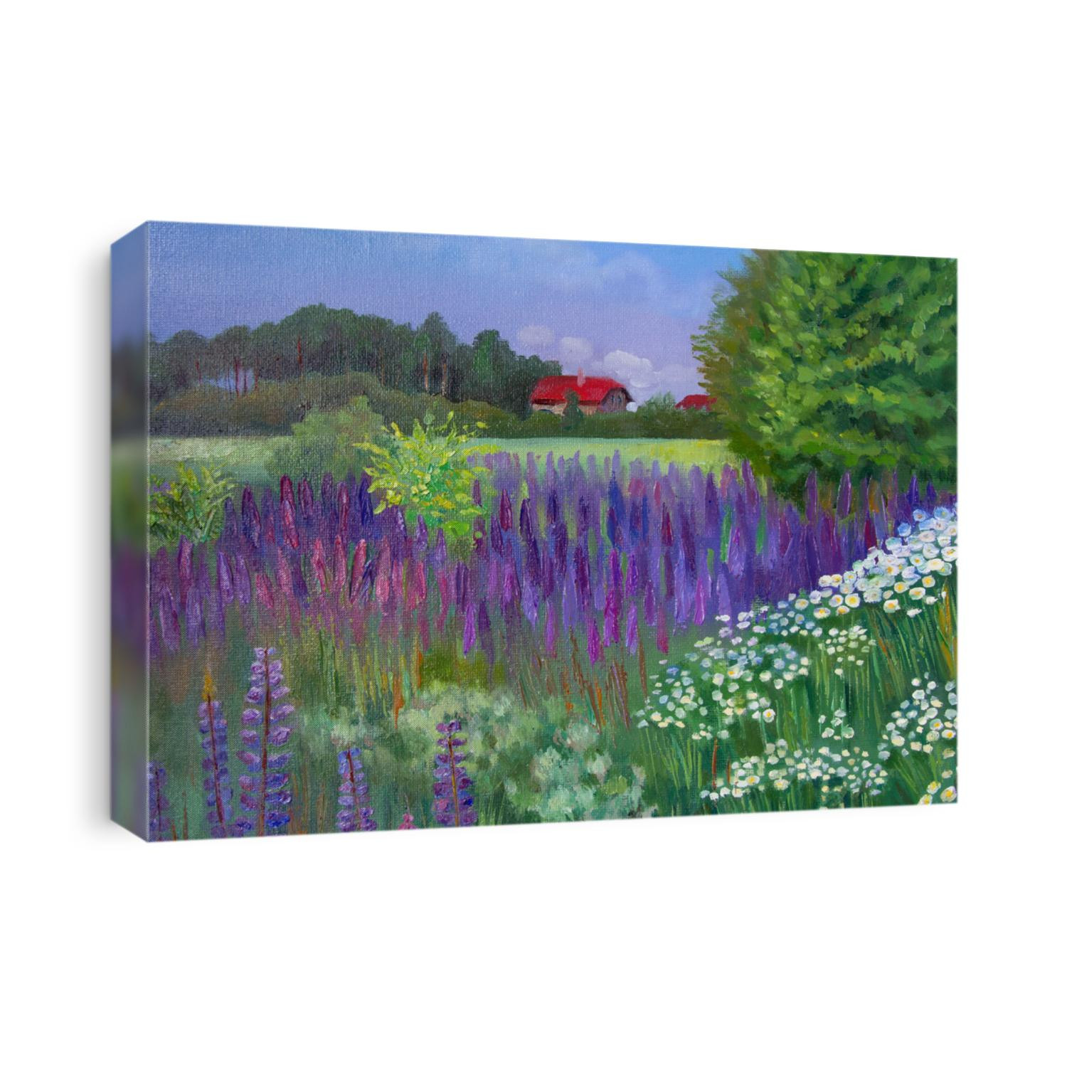 Colorful landscape with lupins and a house with a red roof. Painting hand-drawn oil illustration. Oil painting on canvas.