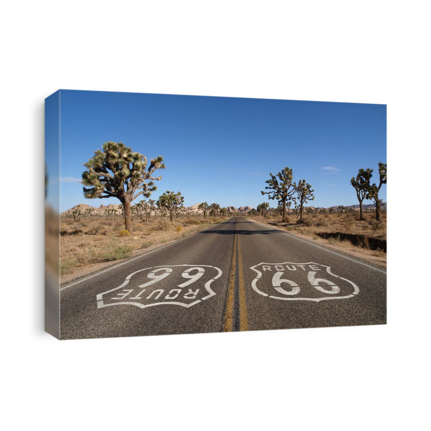 Route 66 with Joshua Trees deep inside California's Mojave Desert.