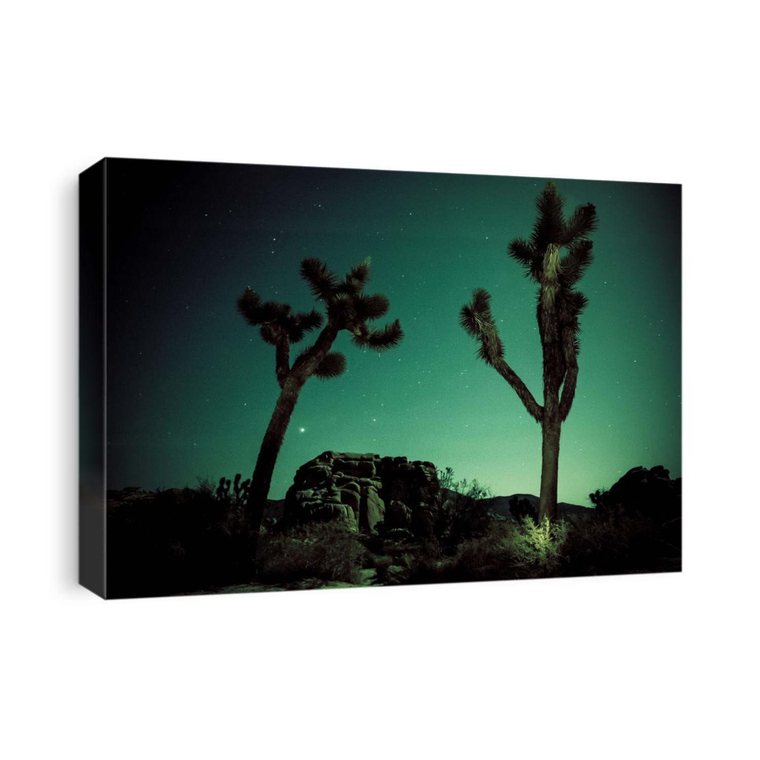 Rock formations photographed at night in Joshua Tree National Park.