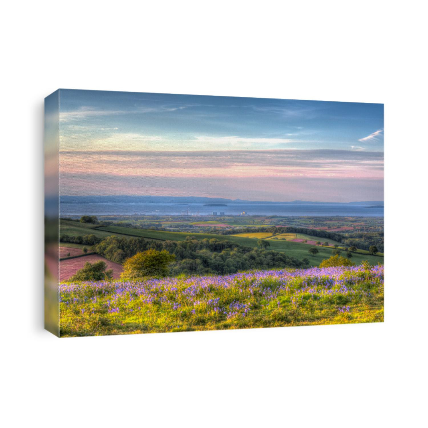 View from Quantock Hills Somerset England UK towards Hinkley Point Nuclear Power Station and the Bristol Channel on a summer evening with bluebell flowers in  colourful HDR like a painting