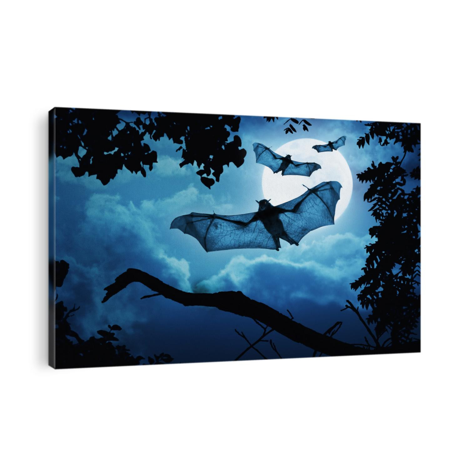 These creepy bats fly in on Halloween Night with a full moon behind them.