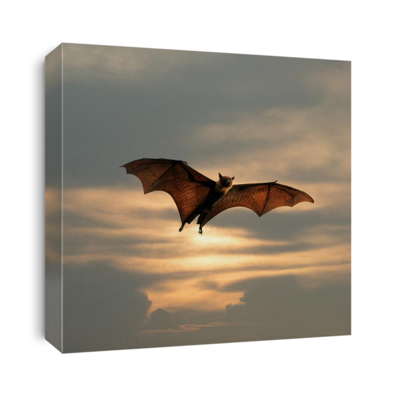 Bat flying
