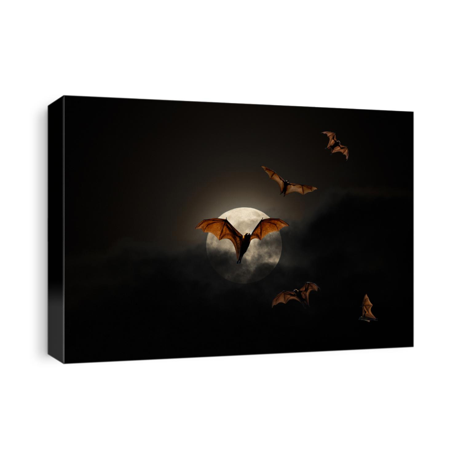 Bats flying on the full moon night.