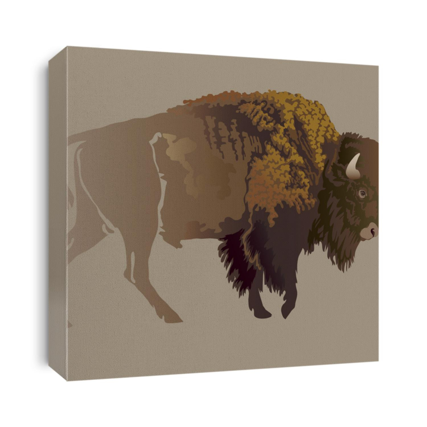 Buffalo. Hand-drawn illustration, detailed variant.