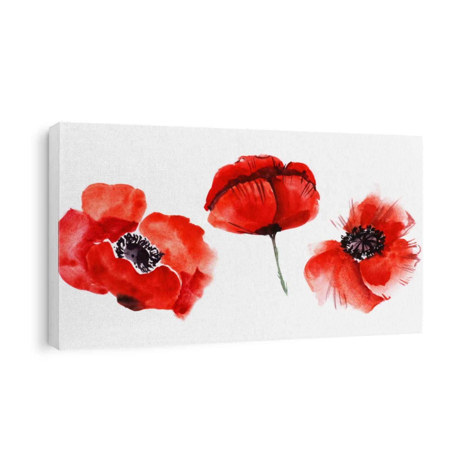 Watercolor image of three blurred poppy flowers isolated on white background. Blooming bright scarlet heads with black hearts. Hand drawn illustration of wild field flora