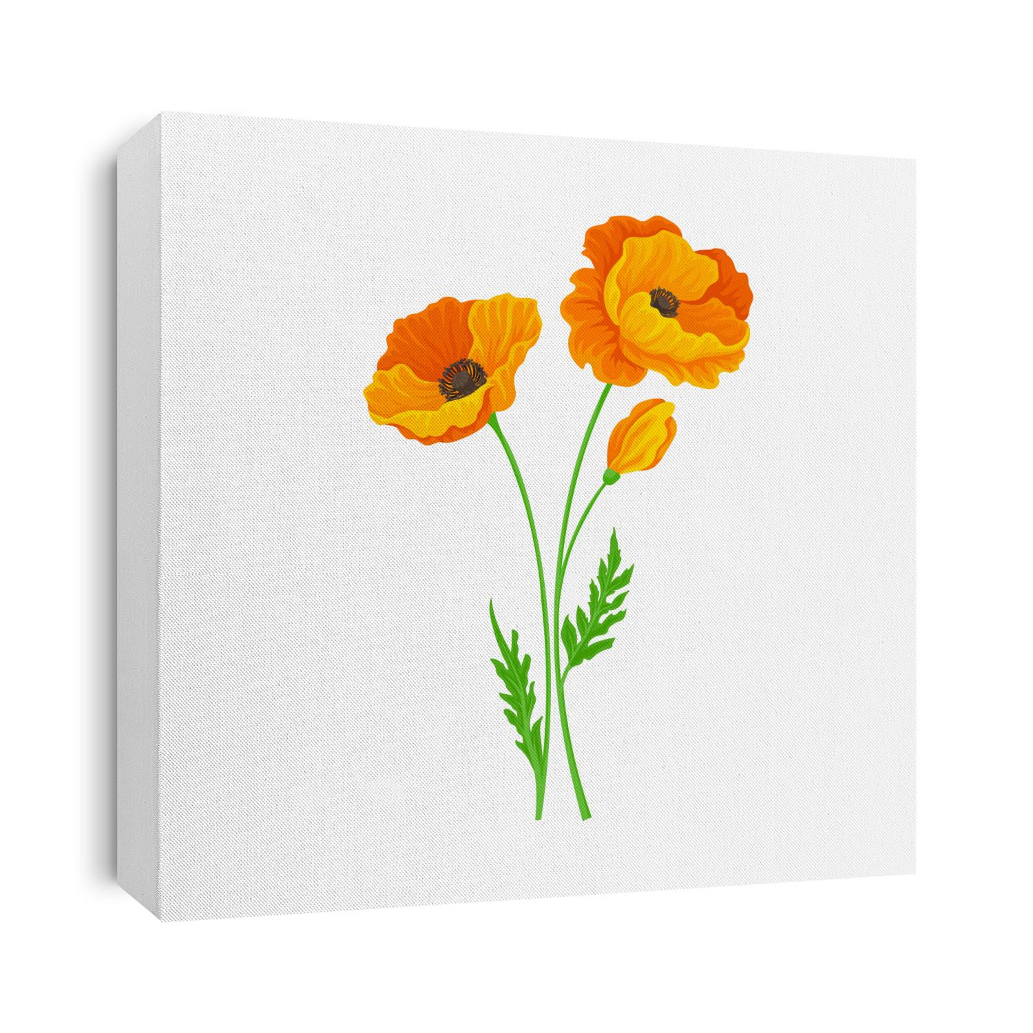 Golden Poppy or California Poppy Flower as Flowering Plant Vector Illustration
