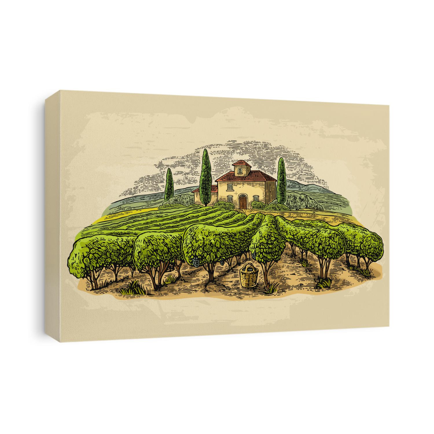 Rural landscape with villa, vineyard fields and hills. Vector color vintage engraving on old paper beige texture background. Hand draw design illustration for label or poster.