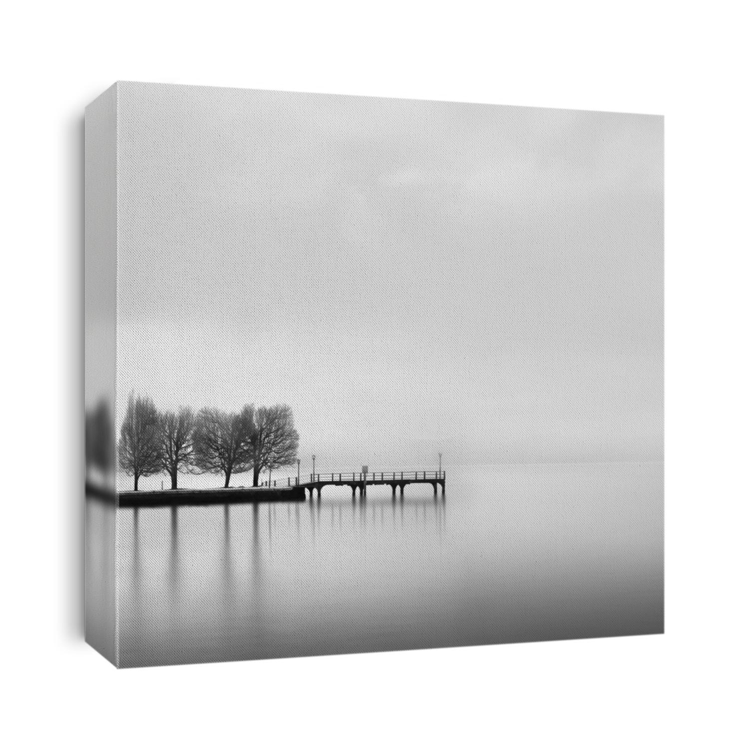 Lake view with pier and trees