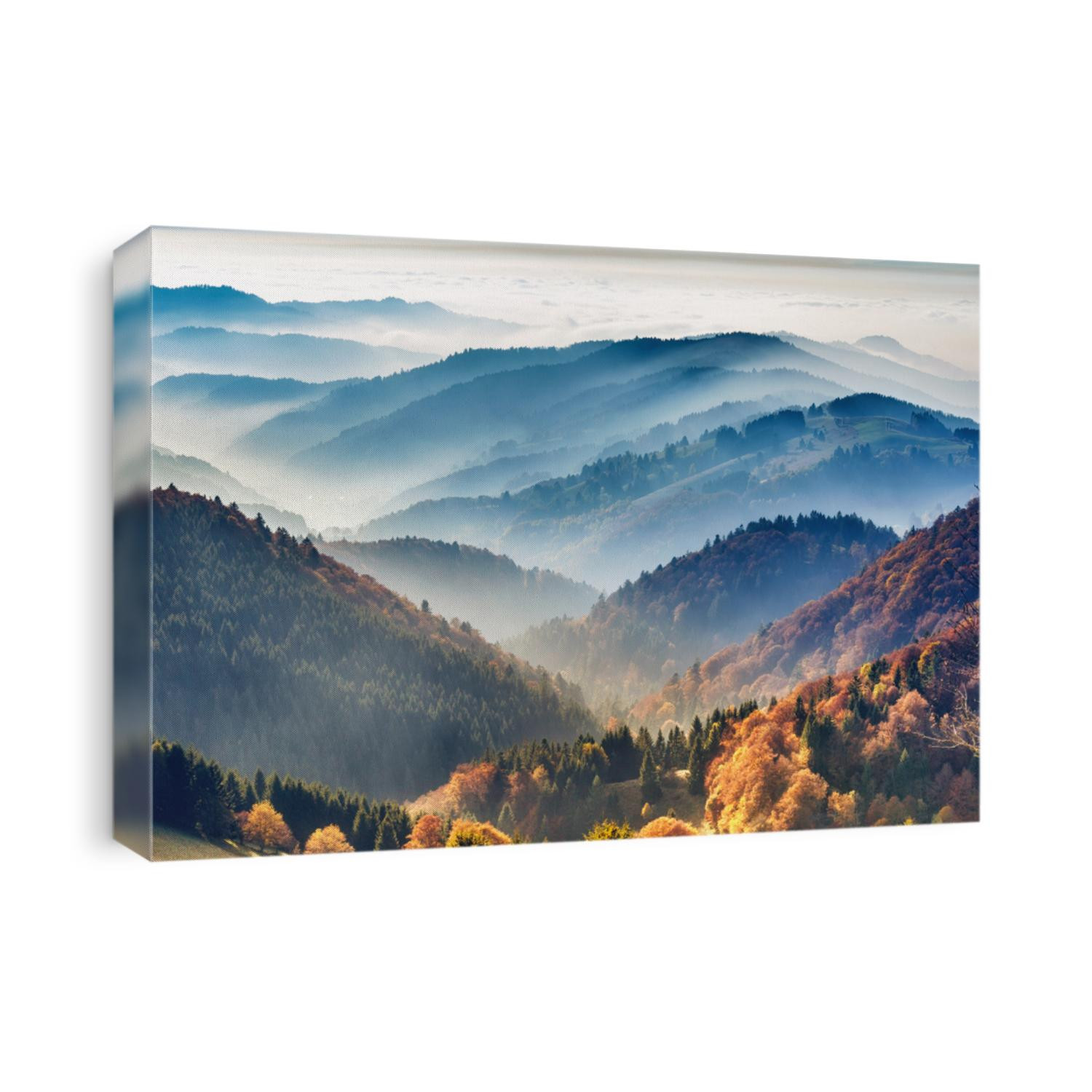 Scenic mountain landscape. View on the Black Forest, Germany, covered in fog. Colorful travel background.