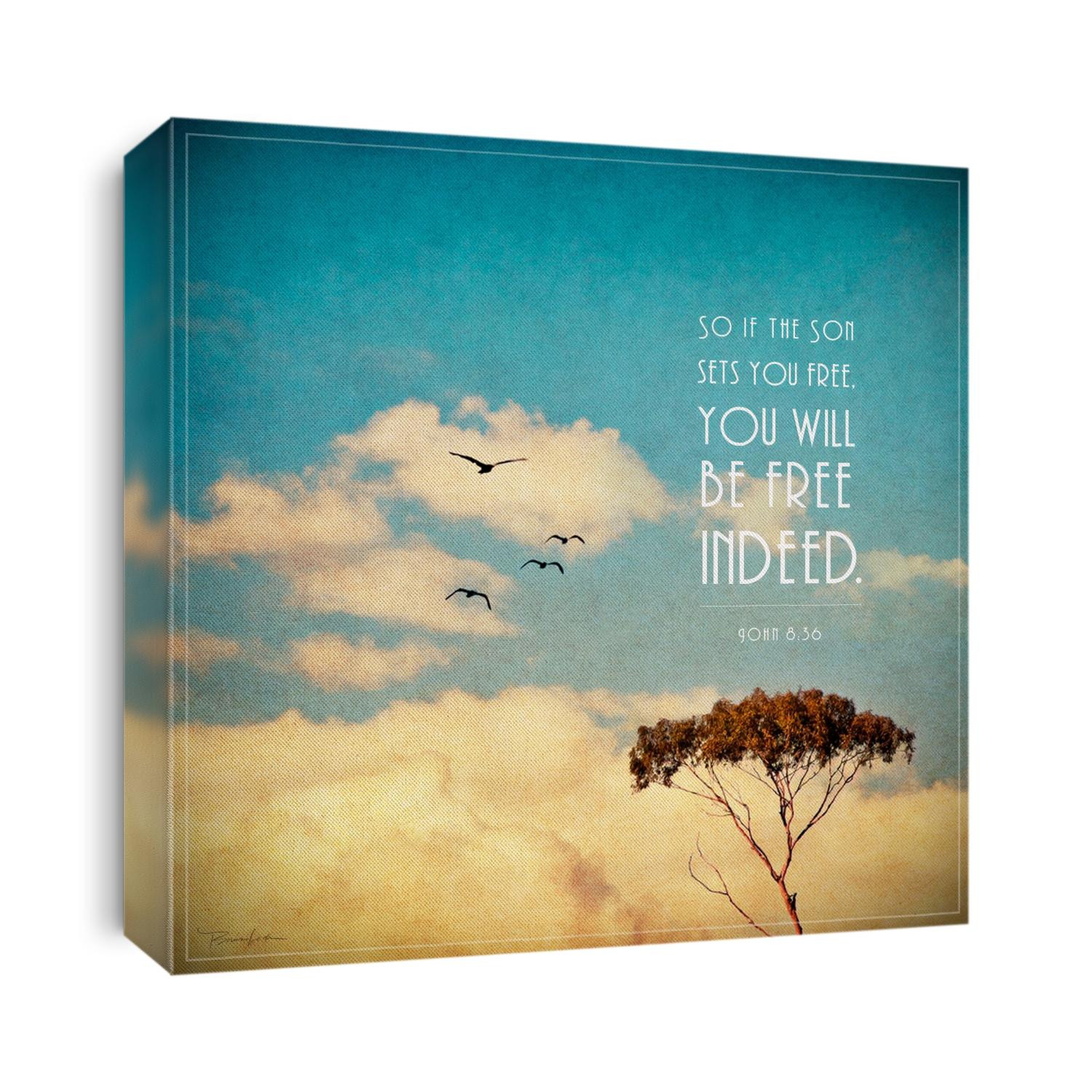Vintage tree with birds against blue sky with clouds and John 8:36