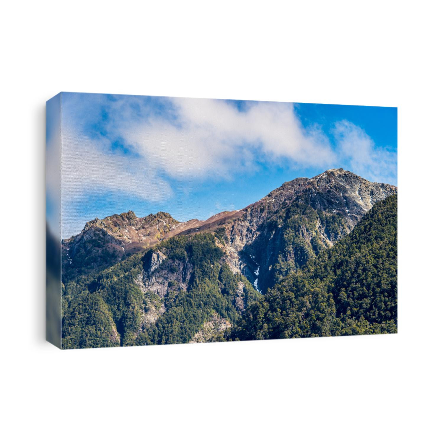 Mountain covered with snow in the Vicente Perez Rosales National Park, Sector Puella, Chile, South America