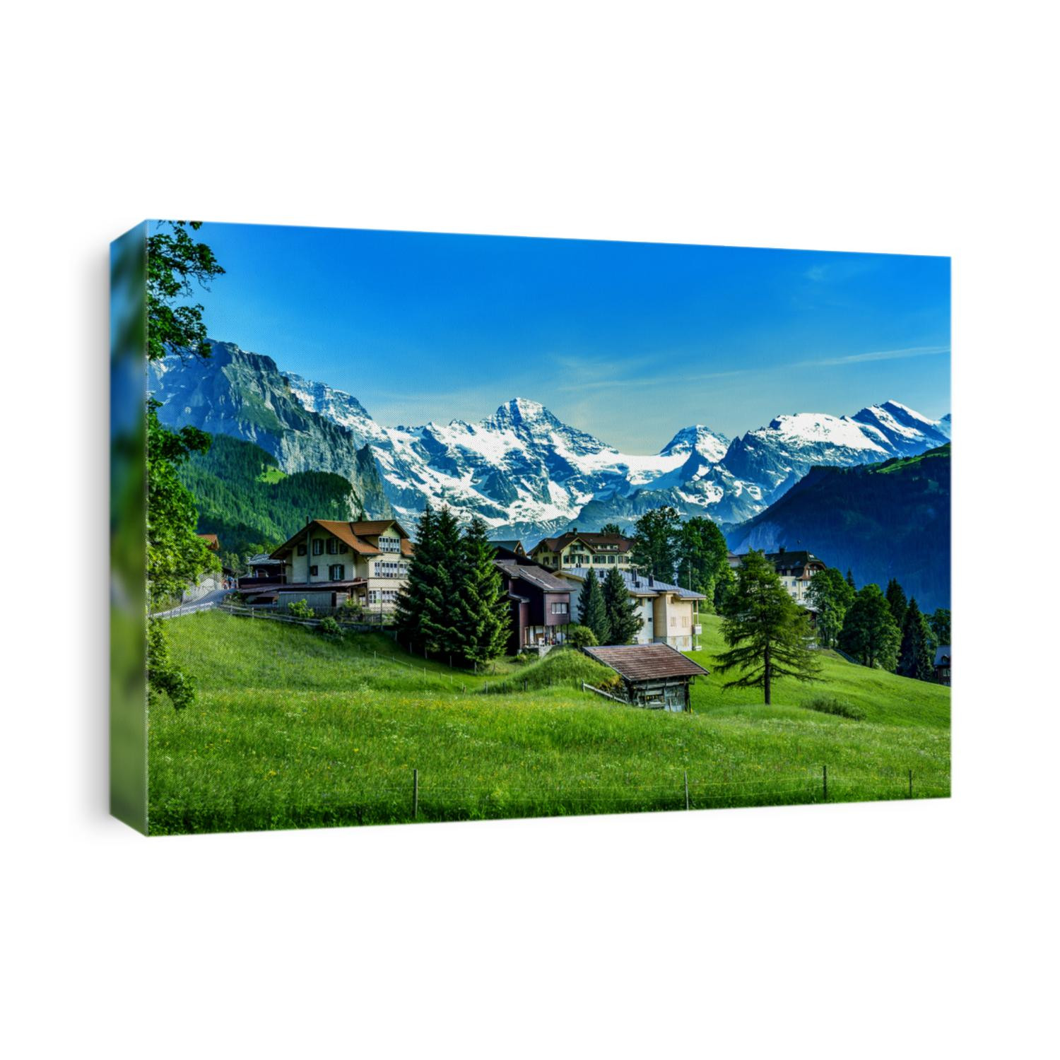 Swiss Alps with Jungfraujoch
