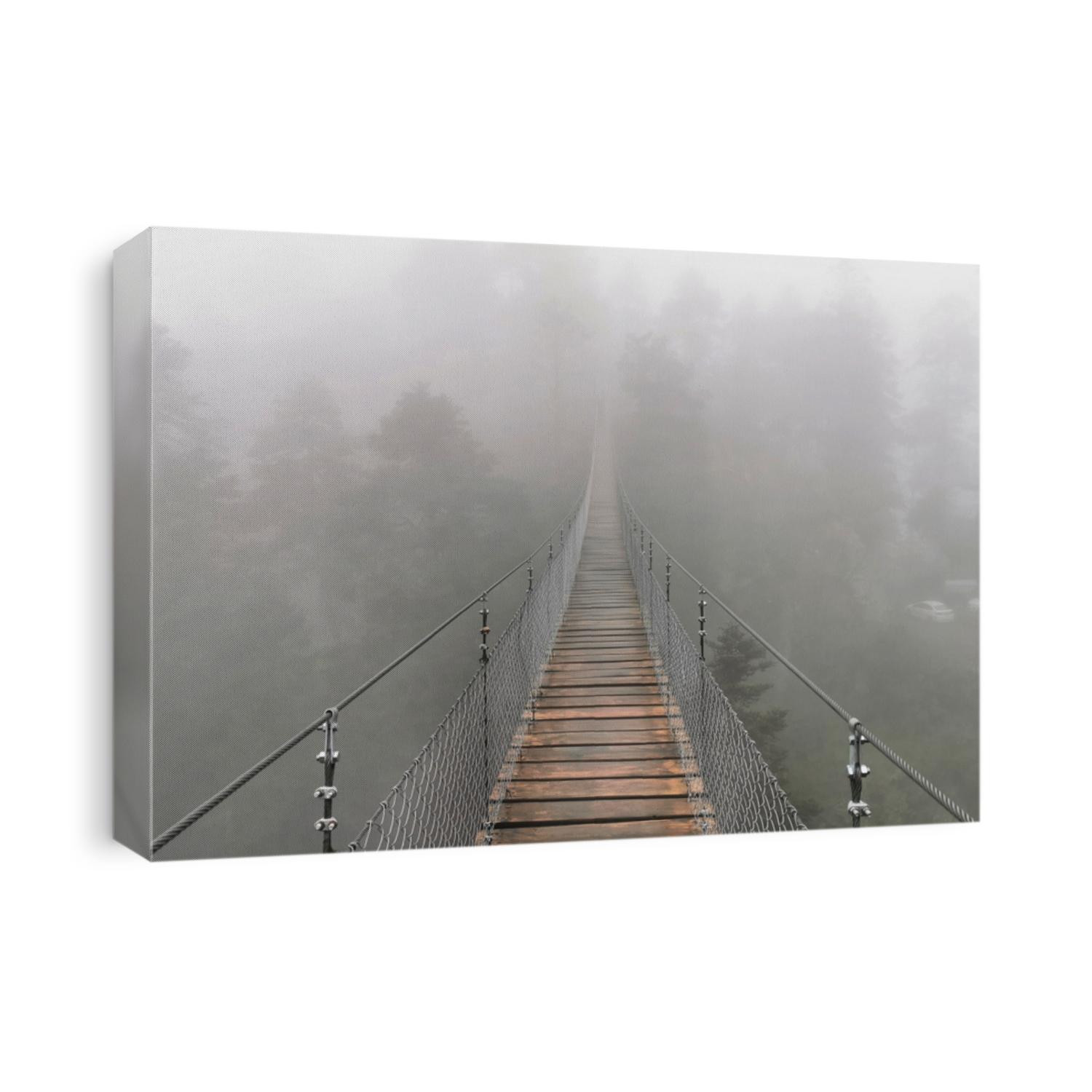 Suspension bridge in mountain, Fog Oaxaca Mexico