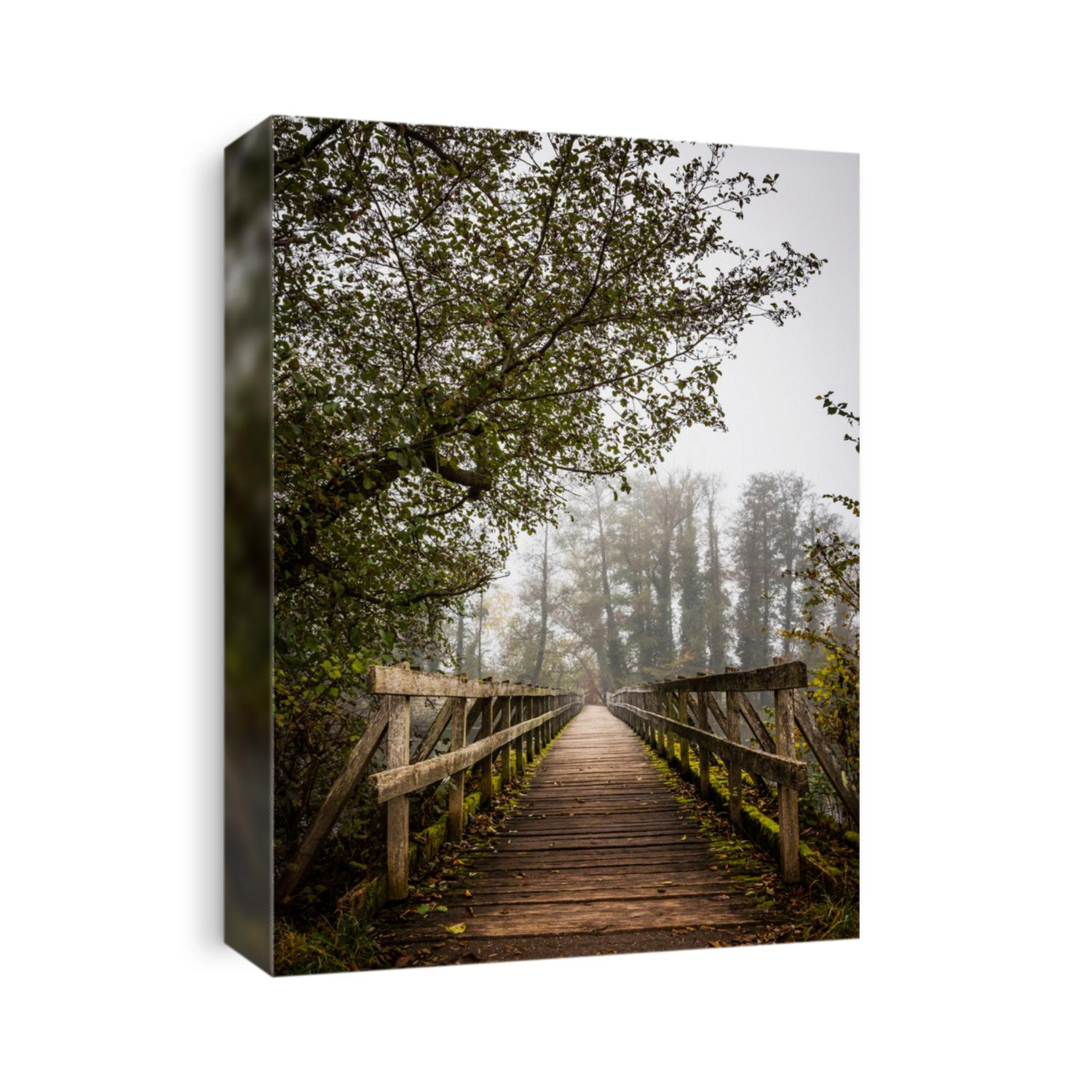wooden bridge with handrail in autumn
