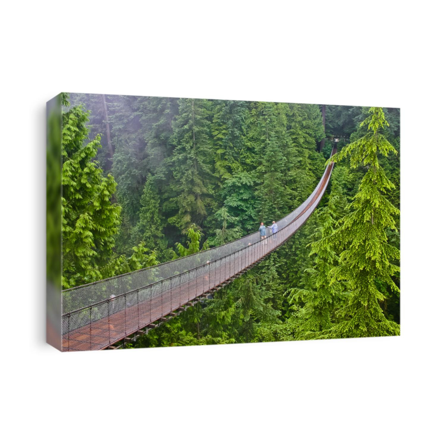 areial view of capilano suspension bridge vancouver canada