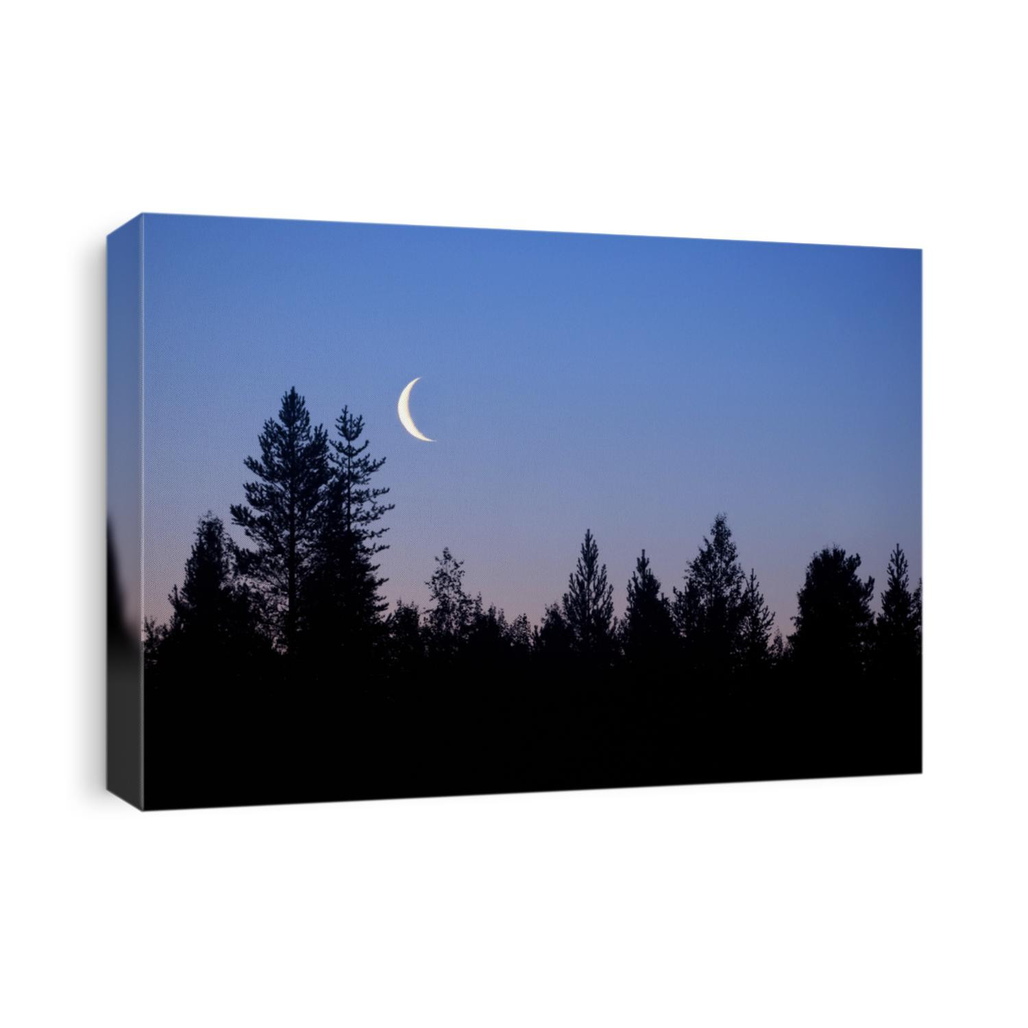 forest in silhouette with crescent moon