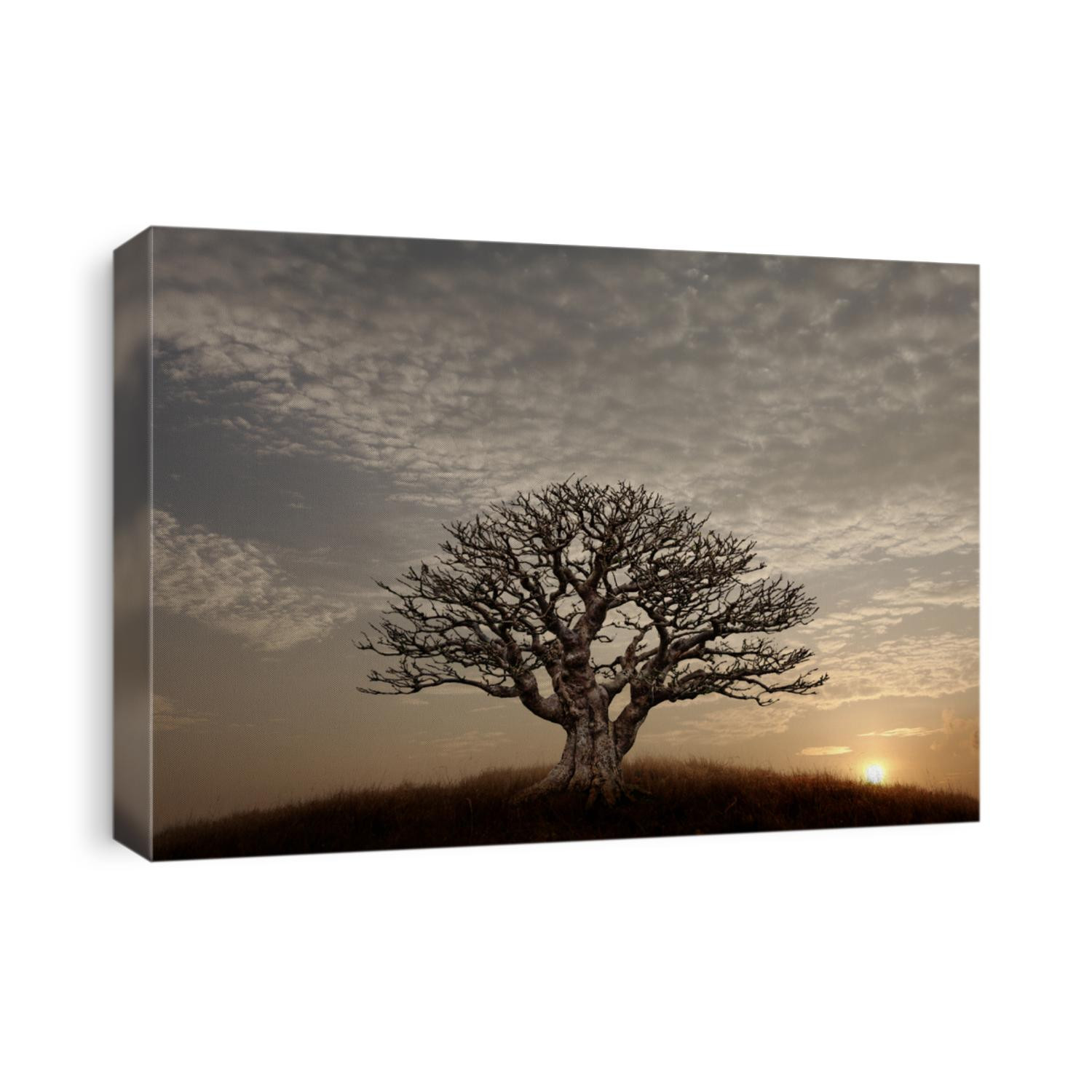 Silhouette of a lone barren tree on a hilltop against a surreal sunset sky.