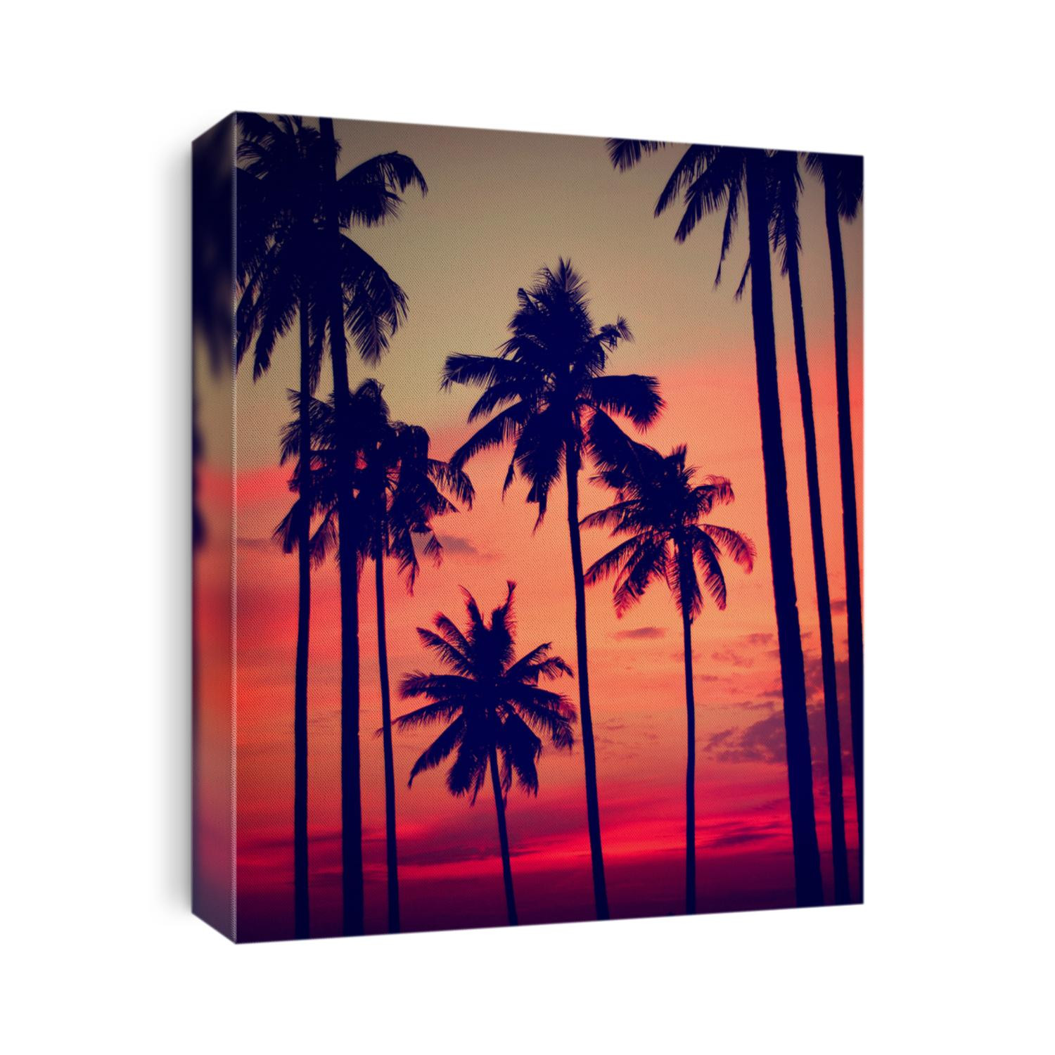 Silhouette Coconut Palm Tree Outdoors Concept