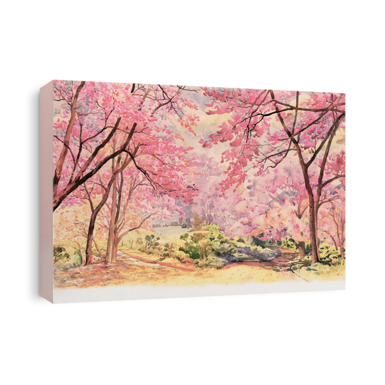 Painting watercolor landscape pink red flower of Wild himalayan cherry tree roadside in the morning with vintage emotion sky cloud background, Hand painted, beauty nature winter season in Thailand.