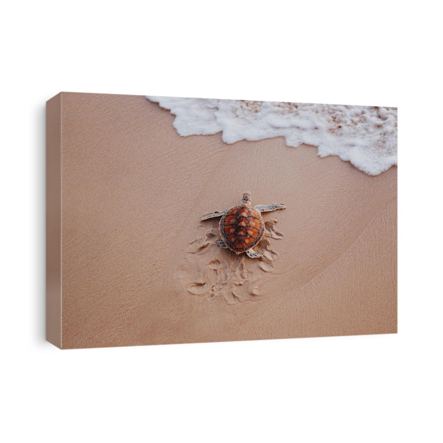 Small turtle running on the beach to the sea. Protect the nature and enviroment concept. Turtle release