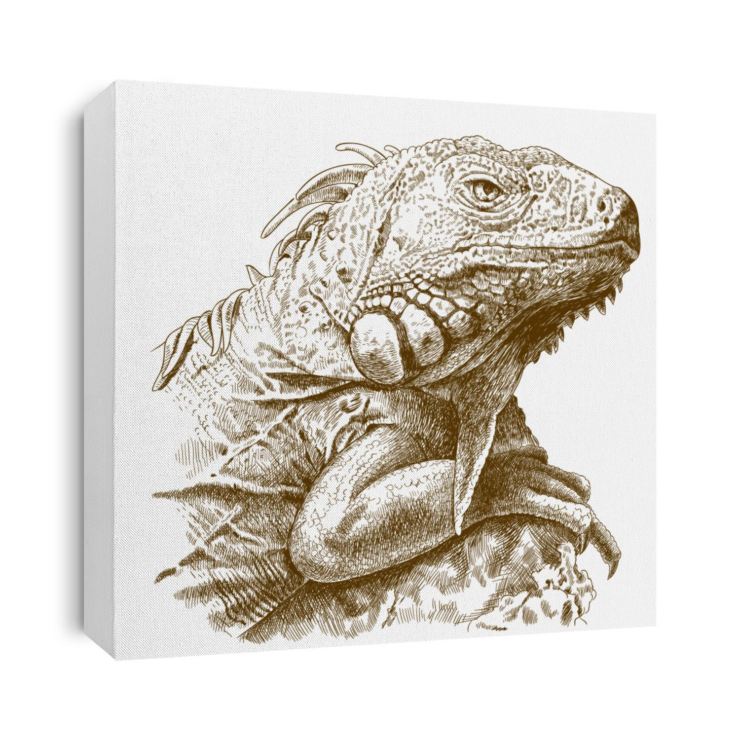 antique engraving illustration of iguana head isolated on white background