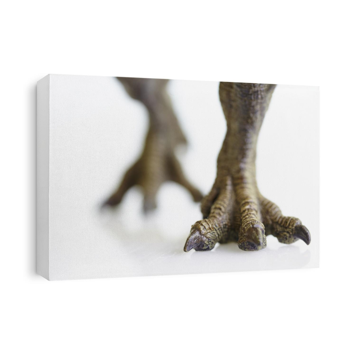 shooting dinosaur model on white background