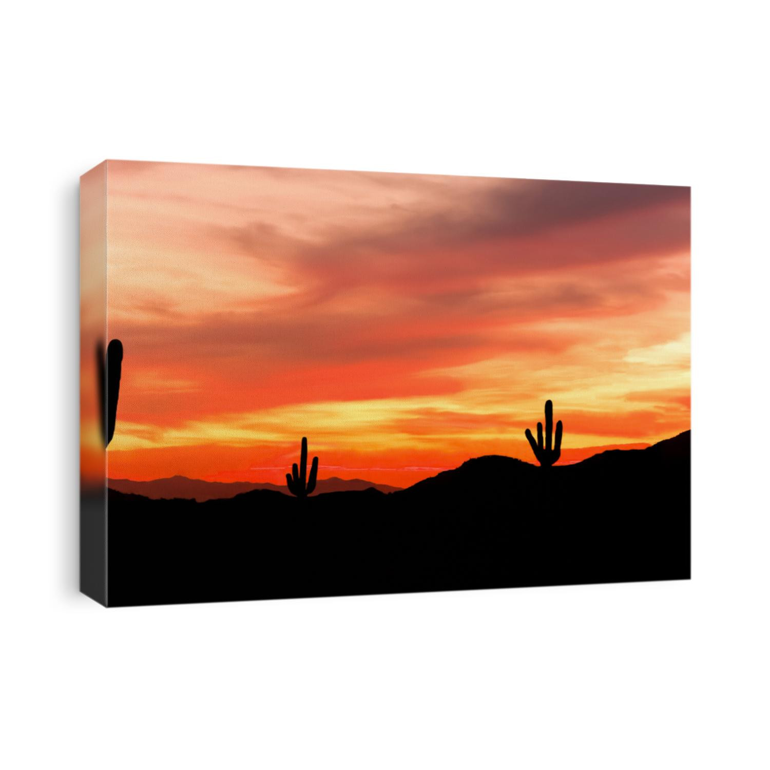 Southwest Desert - Colorful Sunset in Wild West Desert of Arizona with Cactus