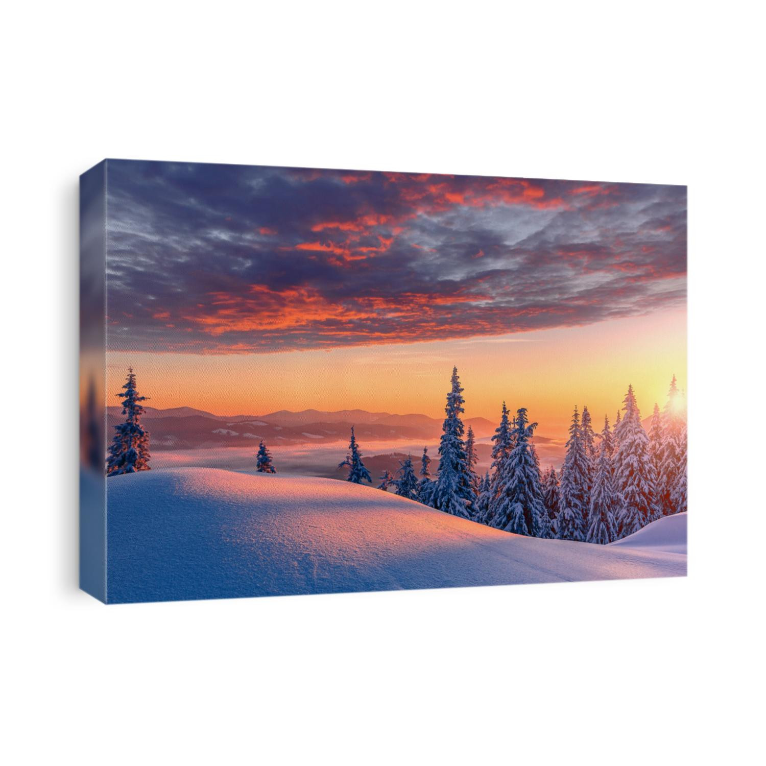 Fantastic winter landscape during sunset. colorful sky glowing by sunlight. Dramatic wintry scene. snow covered trees under warm sunlit. Sunlight sparkling in the snow. Splendid Alpine winter