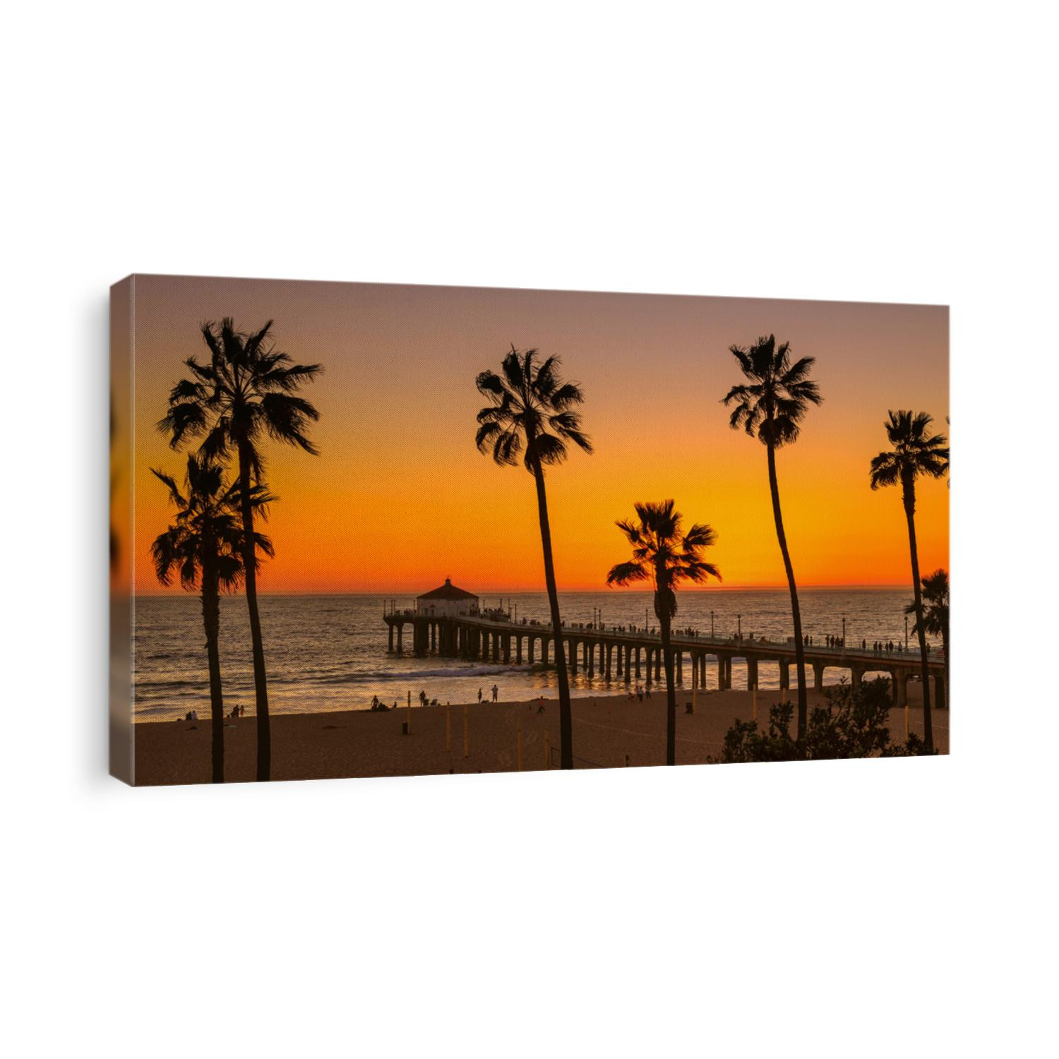Palm trees on Manhattan Beach at sunset, Los Angeles