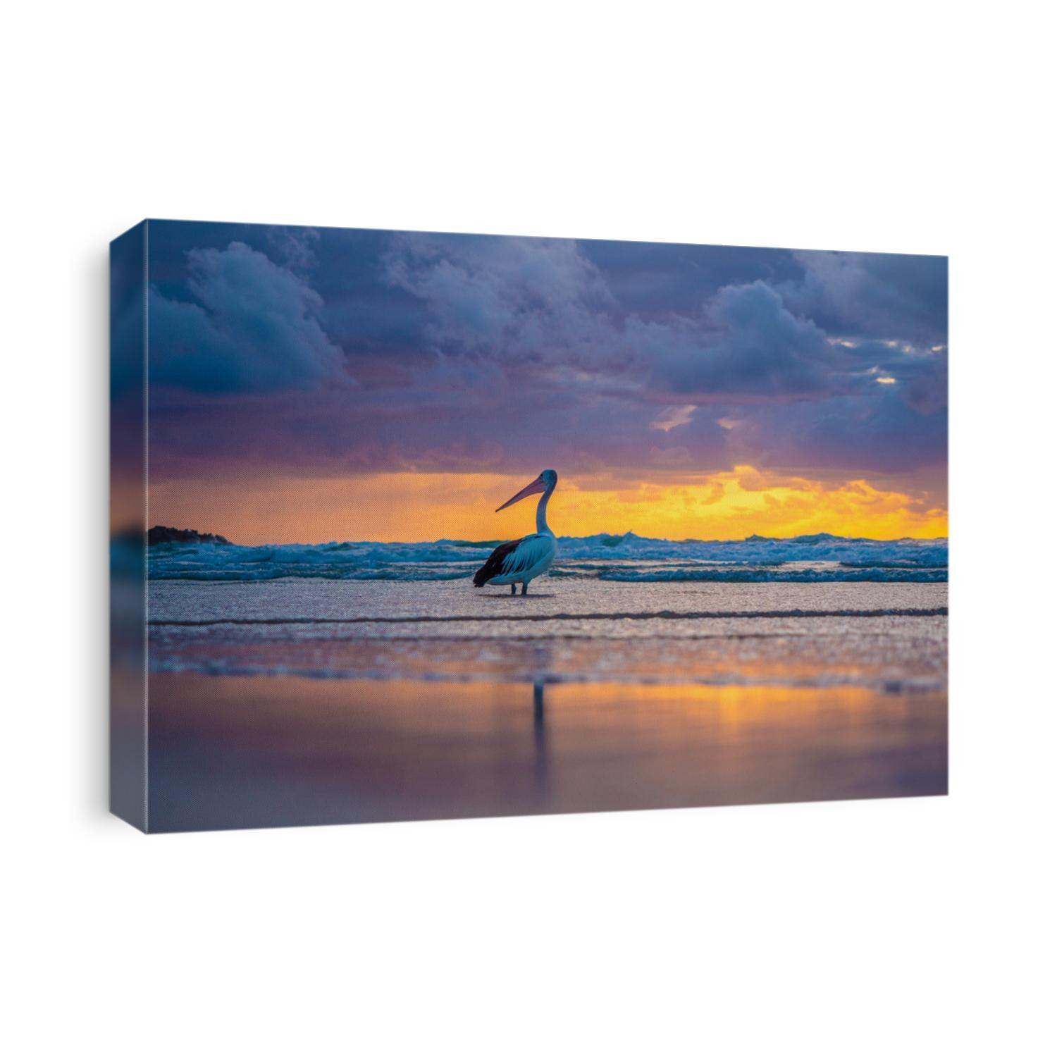 Stunning reflections of a beautiful pastel sunrise with a  pelican