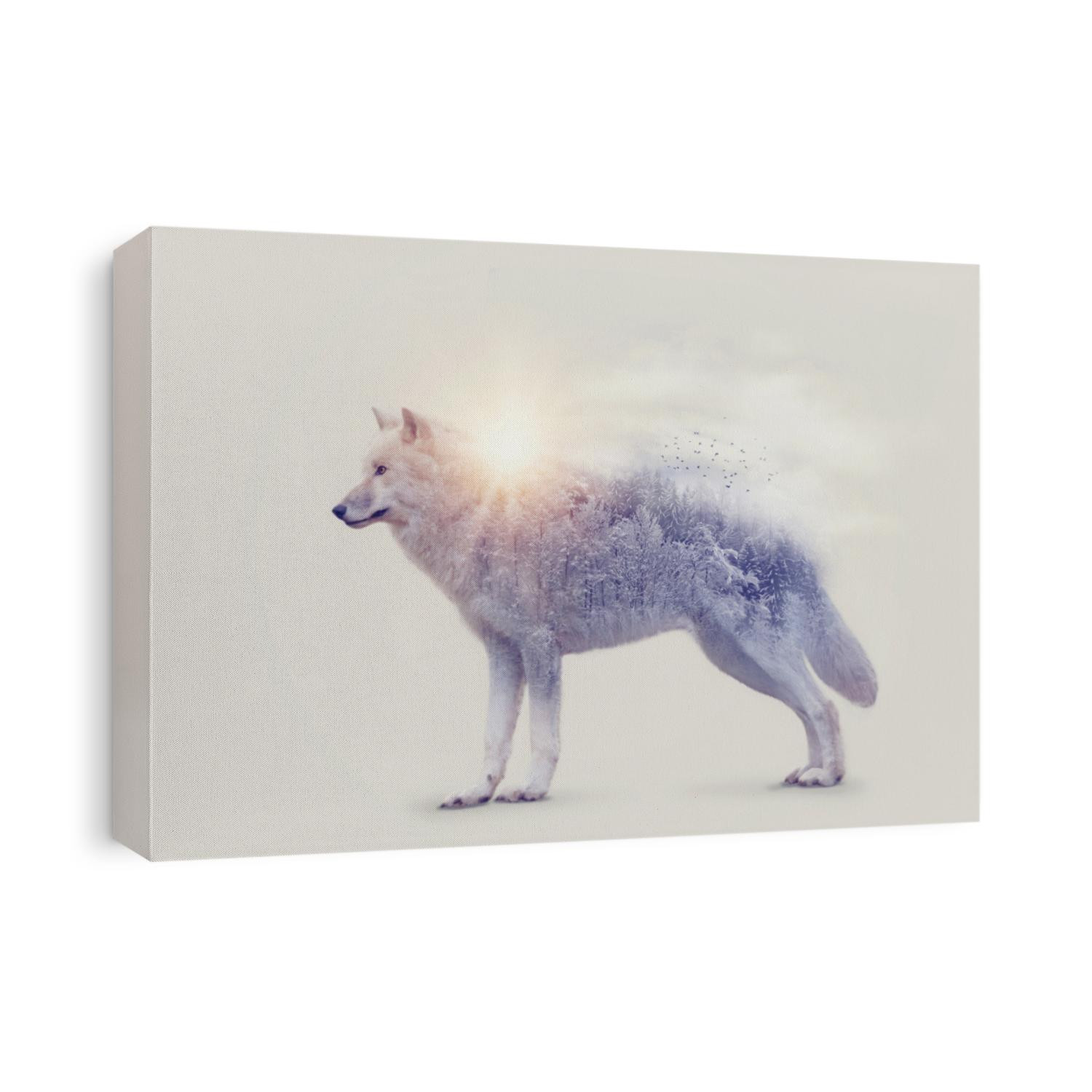 Double exposure with an arctic wolf and forest