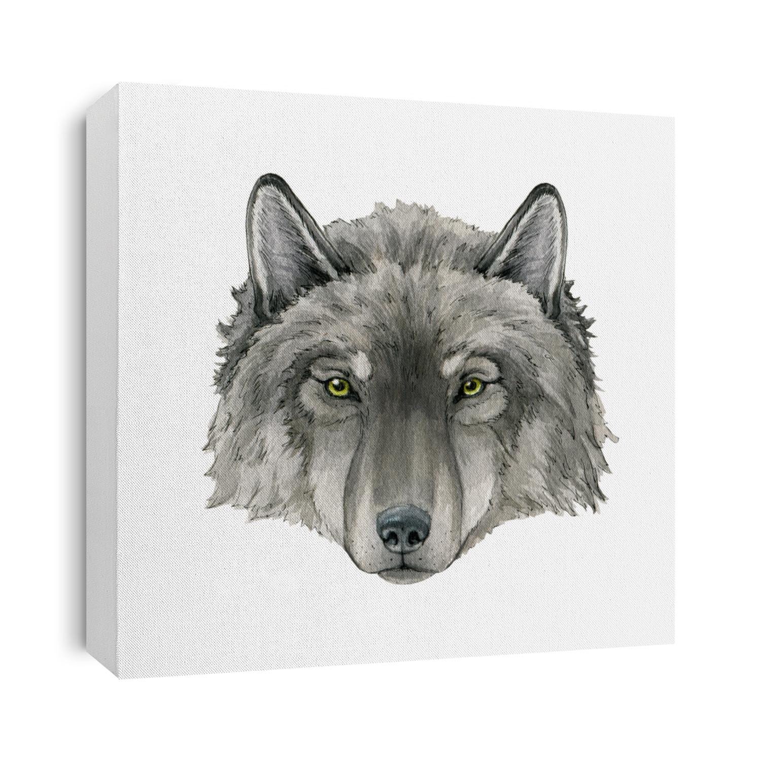 Wolf portrait watercolor illustration. Grey arctic wolf animal hand drawn image. Wildlife Canada, Taiga forest predator. Single lupus realistic portrait. Gray furry animal face